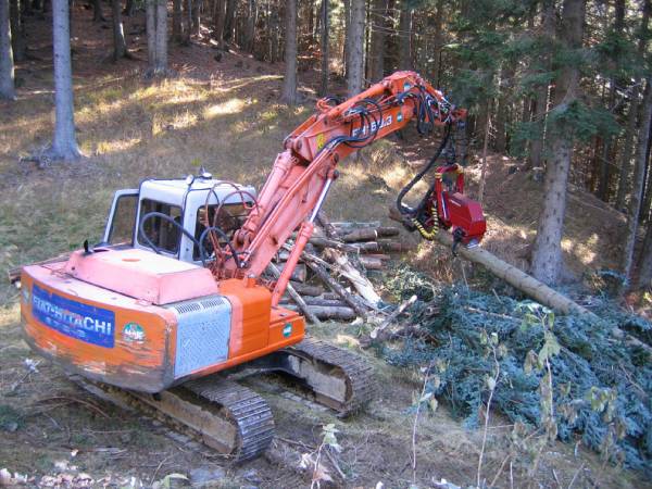 Harwester - Foto di Andrea Pincin